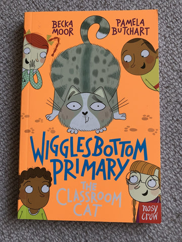 Wigglesbottom Primary - The Classroom Cat
