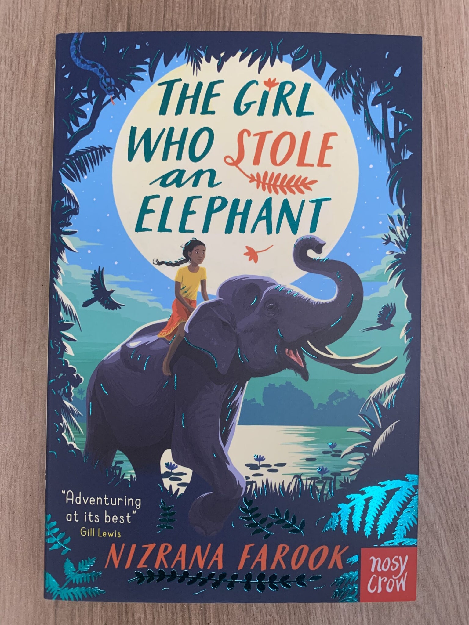 The Girl who Stole an Elephant