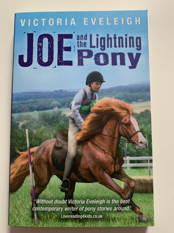 Joe and the Lightning Pony