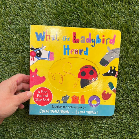What the Ladybird Heard BOARD
